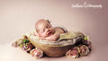Dollimore Photography
