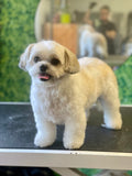 Groomingtails UK
