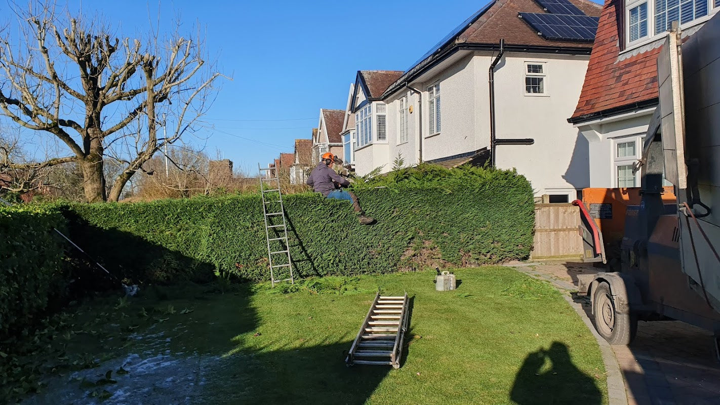 HALE TREE & STUMP REMOVALS/HALE TREE SURGEON