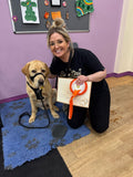Danesford Obedience Dog Training Club