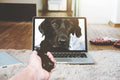 Watchdog IT Support