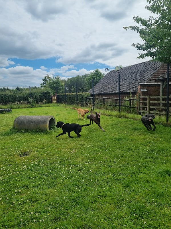 Wags of Cranage
