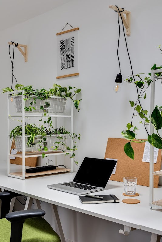 Co-Hoole - Co Working Space