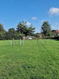 Ivy Boarding Kennels & Cattery