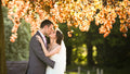 Lisa Cowen Photography