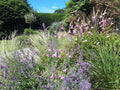 Dan Heywood Gardener