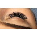 Mollys Lashes