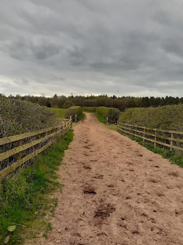 Kelsall Hill Equestrian Centre