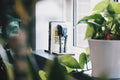 Dark Horse - SEO, PPC & Paid Social Agency Manchester