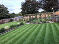 Green Grass Maintenance