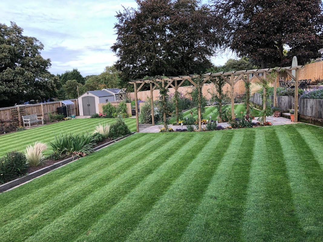 Green Grass Maintenance