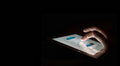 Digital State Consulting