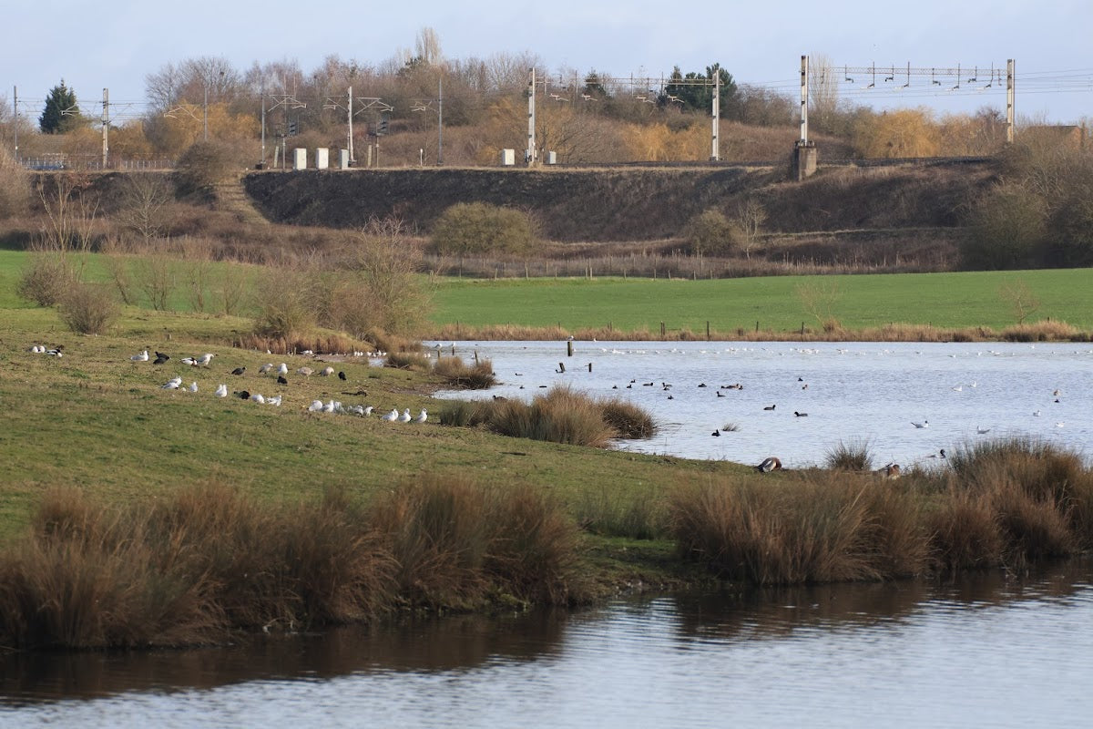 Sandbach Flash SSSi site