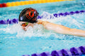 Nantwich Seals Swimming Club