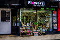 Flowers by Jenny Penny