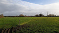 Greenheyes Farm