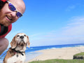 Heswall Pet Sitting