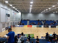 Cheshire Phoenix