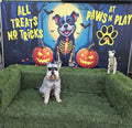 Paws N Play Dog Park