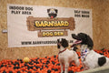 Barnyard Dog Den