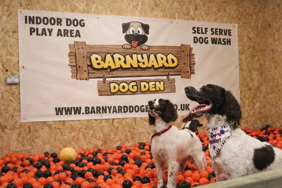 Barnyard Dog Den