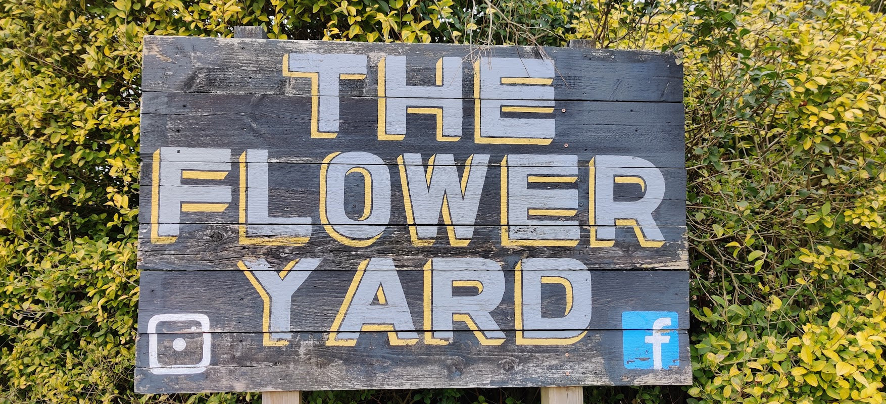 The Flower Yard