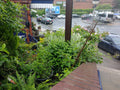 Station Forecourt