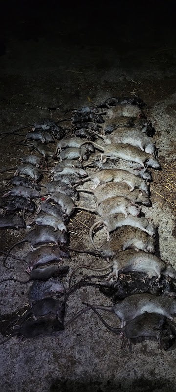 TTOCS Pest Control