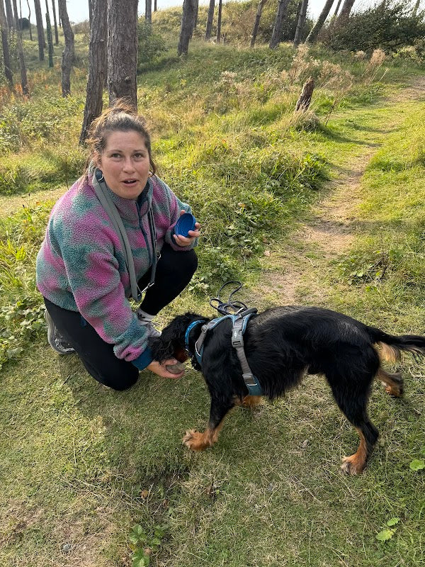 The Canine School of Trailing