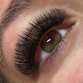 Lash and Brow Bar