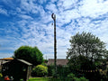 Woodstock Tree & Garden Care (Tree Surgeon)