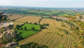 Agricultural Business Analysis