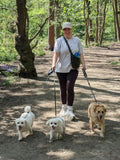 Northwich Dog & Pet Services