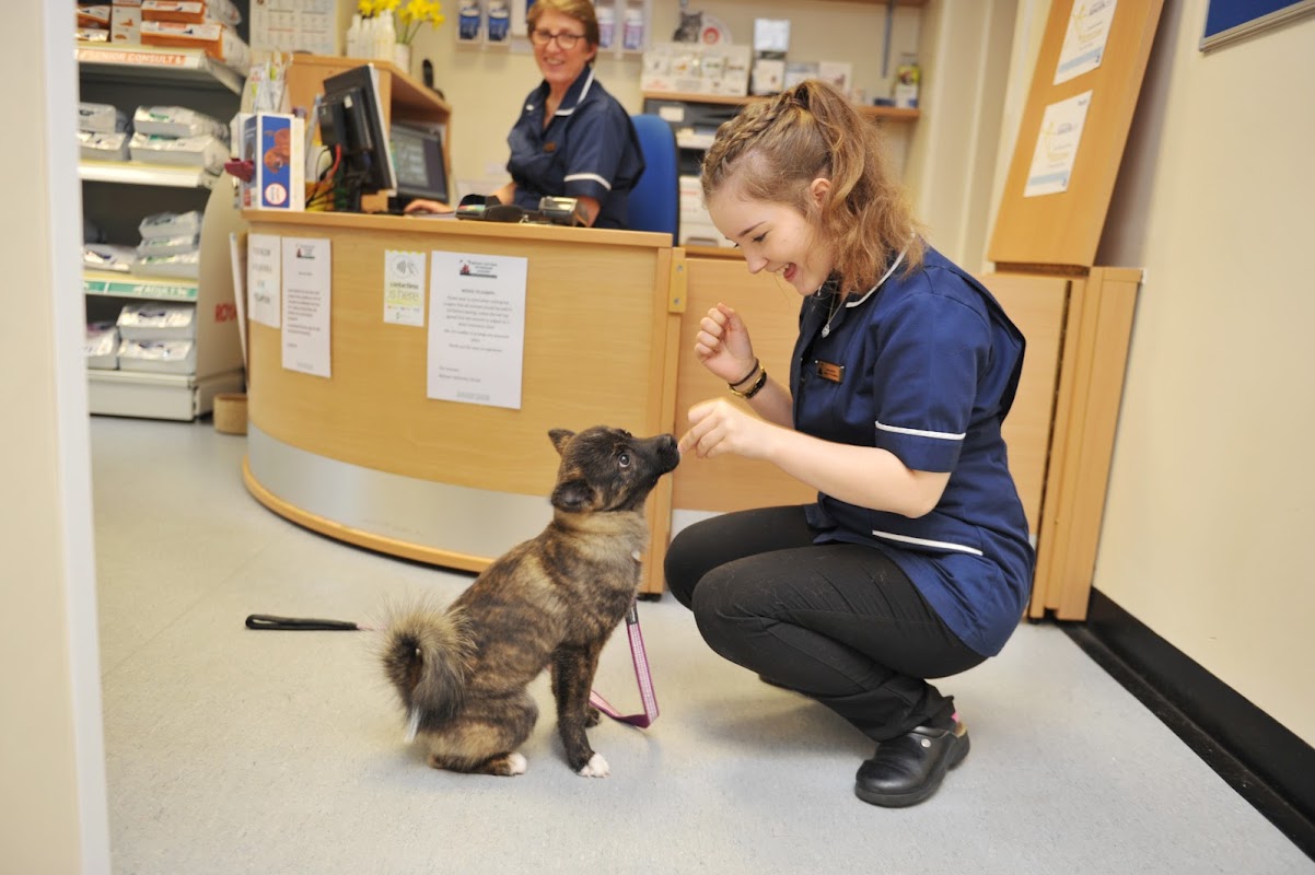 Willows Veterinary Group - Broom Cottage Veterinary Surgery
