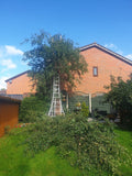 Knutsford Tree Services