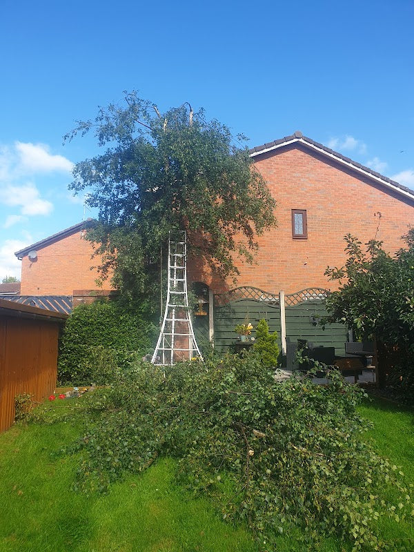 Knutsford Tree Services