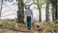 Cheshire Gundogs