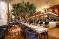 Cibo Gran Café