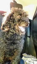 Sue's Dog Grooming