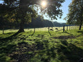 Foxbank Farm