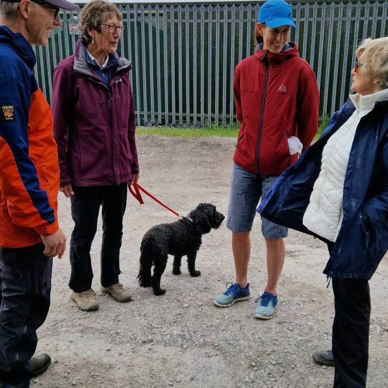 Dog Trailing