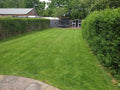 Bumble Bees Garden Maintenance