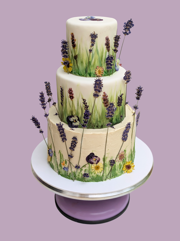 The Illustrated Cake