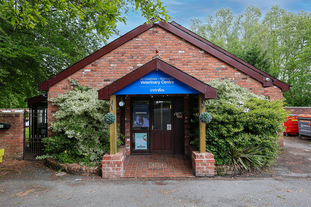 All Creatures Veterinary Centre