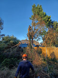 KNUTSFORD TREE & STUMP REMOVALS/KNUTSFORD TREE SURGEON
