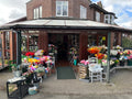Collins The Florist