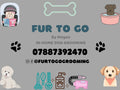 Fur To Go