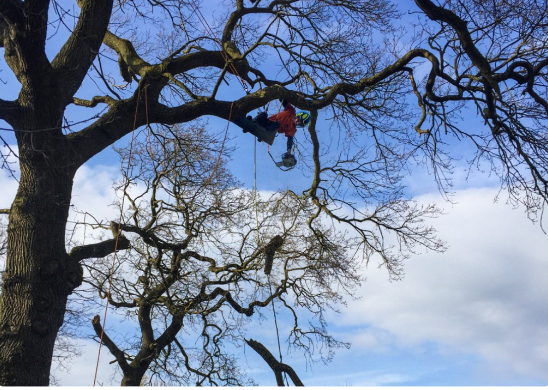 Rich Fagan Tree Surgery & Surveyor