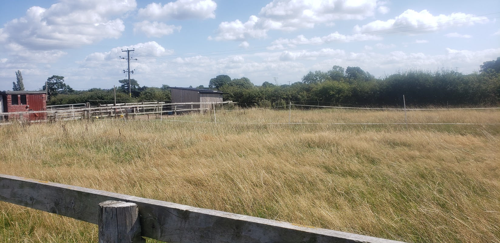 Down On The Farm. Willow Tree Cottage CL site