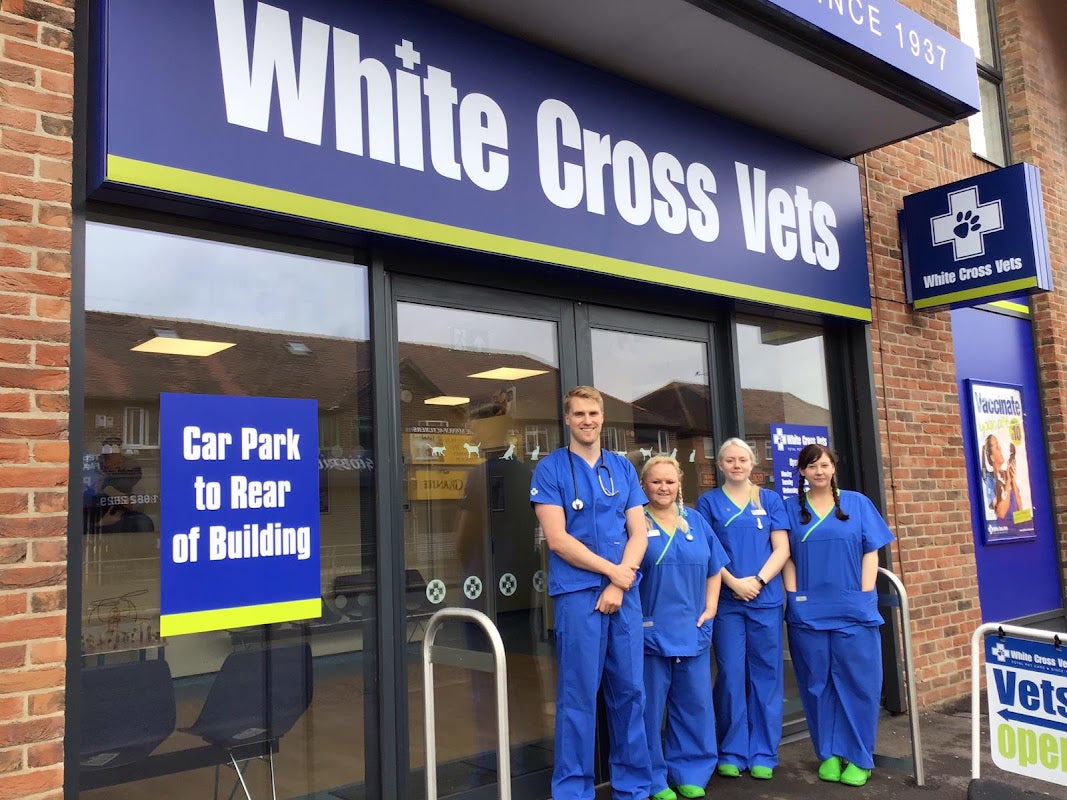 White Cross Vets
